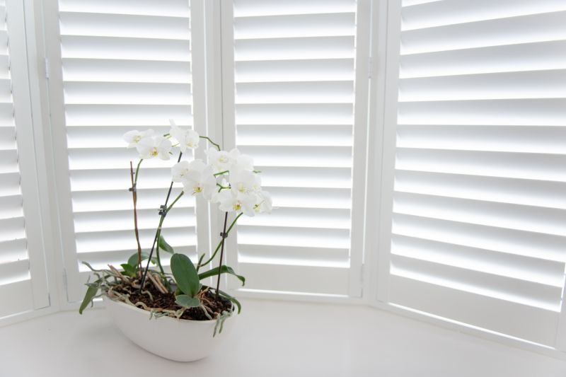Window Shutter Installation in Boulder, CO